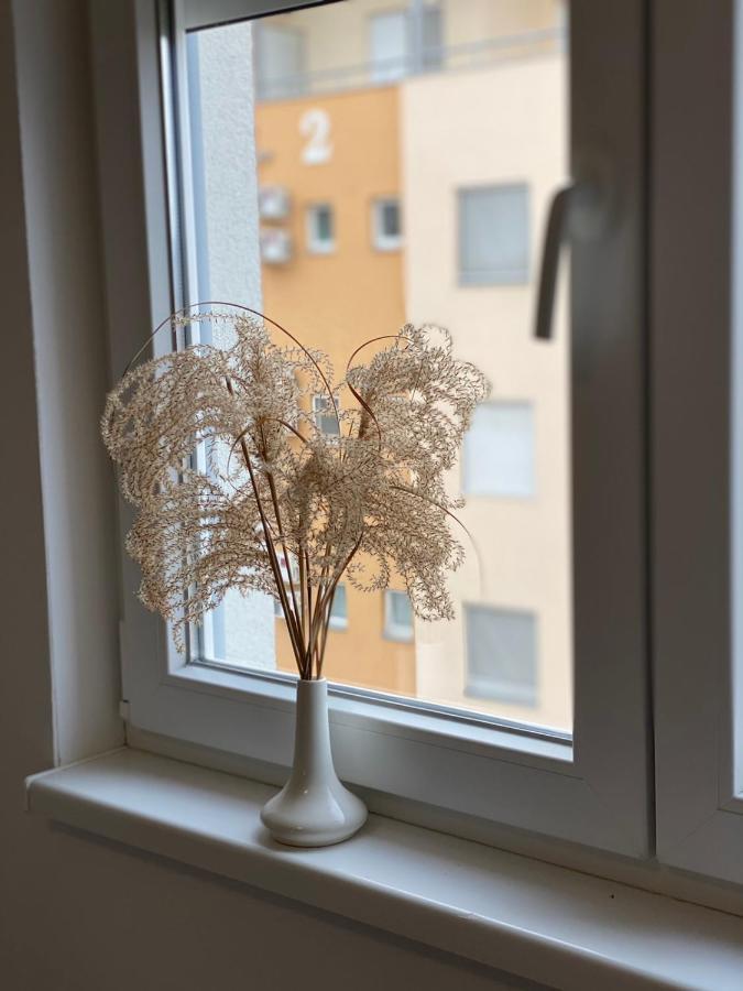 Apartmani Milic Banja Koviljača Extérieur photo