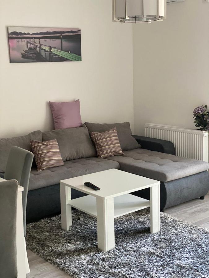 Apartmani Milic Banja Koviljača Extérieur photo